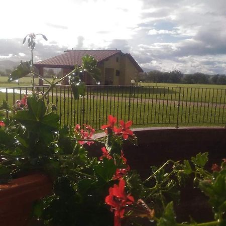 Campagnatico Agriturismo Oasi Del Pianettino מראה חיצוני תמונה