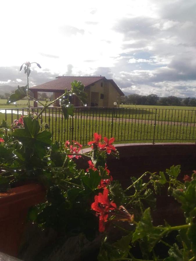 Campagnatico Agriturismo Oasi Del Pianettino מראה חיצוני תמונה