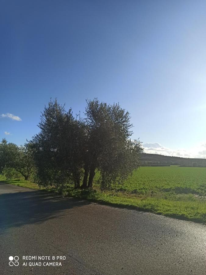 Campagnatico Agriturismo Oasi Del Pianettino מראה חיצוני תמונה