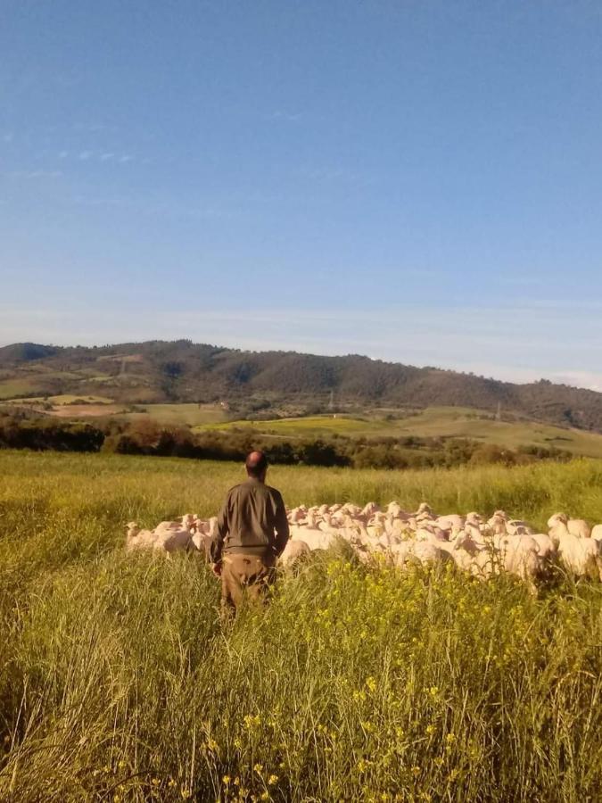 Campagnatico Agriturismo Oasi Del Pianettino מראה חיצוני תמונה