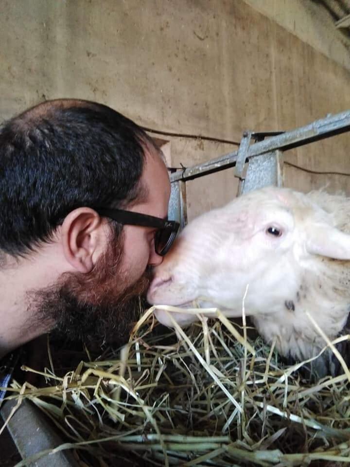 Campagnatico Agriturismo Oasi Del Pianettino מראה חיצוני תמונה
