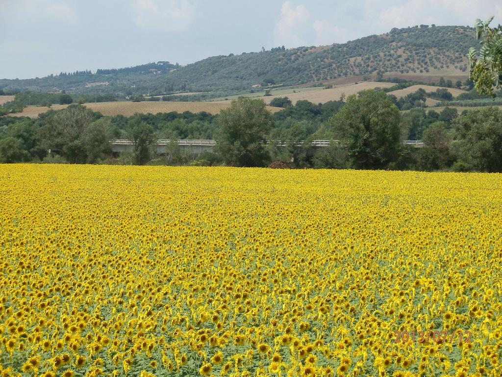 Campagnatico Agriturismo Oasi Del Pianettino מראה חיצוני תמונה